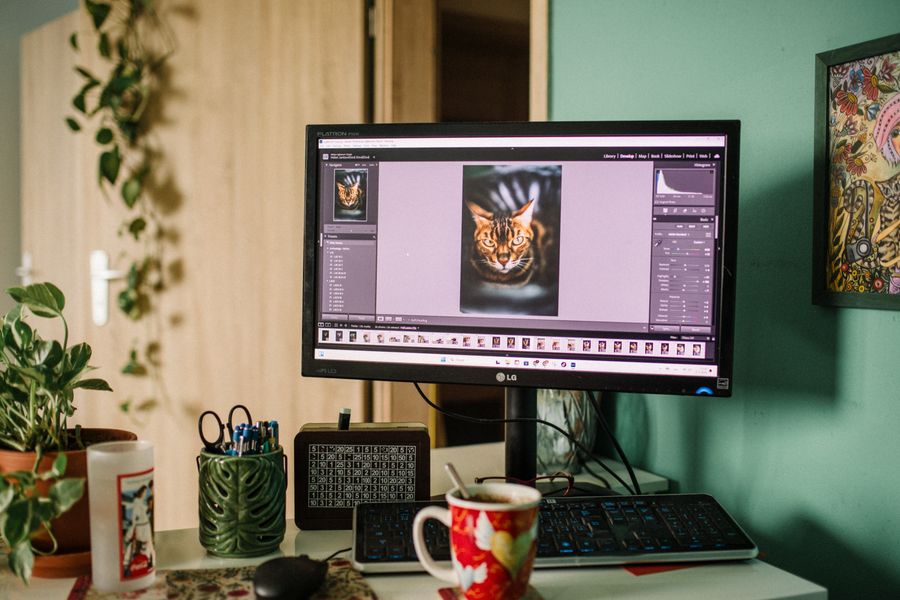 Monitor LG para edición fotográfica en oficina doméstica